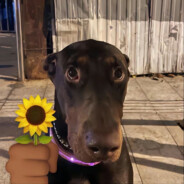 宇宙无敌爆爆龙战士