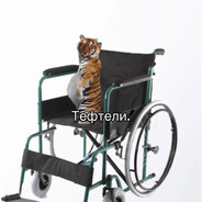 Полотенчег