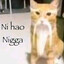 Vash
