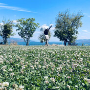 阳光结晶后总会生出彩