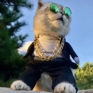 心态好从不摆烂