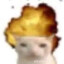 whiklg_