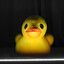 Ducked
