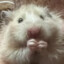 Kit ジ