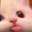 Liw