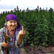 (-_-) - steam id 76561197961799365