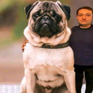 Подрался за батон