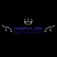 MerinXS