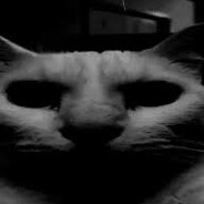 Rostungurinn's avatar