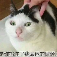 倒一杯散装白酒