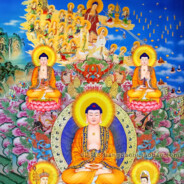 过期了的王守义