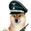 pablishen