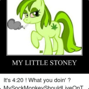 MY LITTLE STONEY
