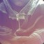 -GuiWOOOD