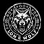 Lone Wolf 🐺