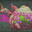 Am I Drunk?'s Avatar