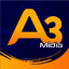 A3