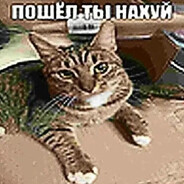 [TT] Барсик вафля