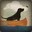 blackdog