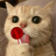 Poderes do Gato Fofucho