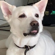 Solmussa Saunassa Suuressa