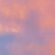 悲伤的凤梨和橙子