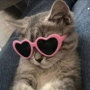 SwaggyKittyMeow