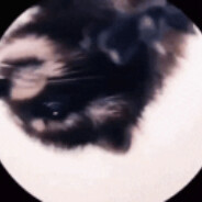 ✪ BbN' ✪ - steam id 76561198157828608