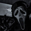 x_dollar_x
