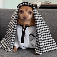 ichihoshi hikaru's avatar