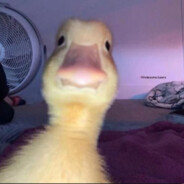 没有女人活不成