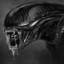 The Alien