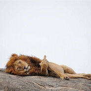 AHAHAHAHAHAHAHAHAHAHAHAHA - steam id 76561199193309217