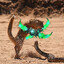 mongoose
