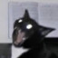 shrd
