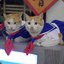 MEOWW