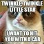 Grumpycat.