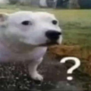 question