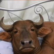 왕따