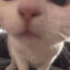 Catherine112