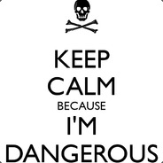 I'm Dangerous! - steam id 76561197960783721