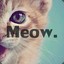 Meow meoW