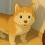 foxzed
