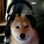 ButterDog