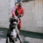 𝕗𝕝𝕠𝕠𝕞𝕫