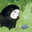 Tody Steam avatar