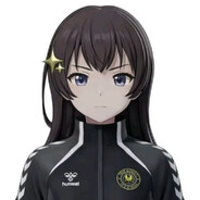 猫猫猫猫猫 猫 车