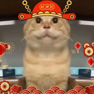 不爱哈气(打败略猫曲版)