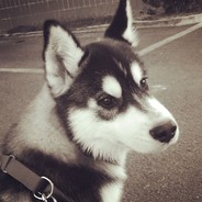 国家反诈中心提醒您谨防队友大残骗局