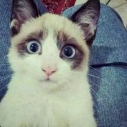 想象力丰富的六七